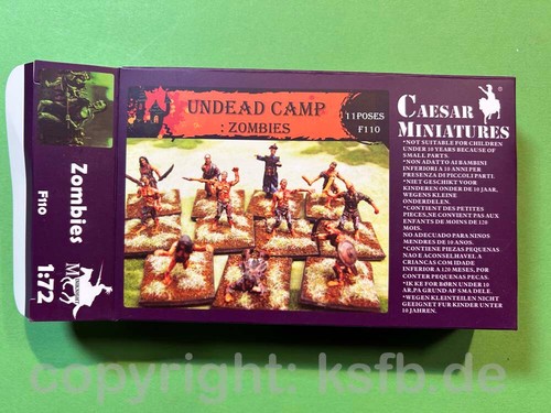Caesar f110 fantasy - 1:72,