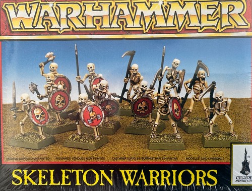 Skeleton warriors - skeleton,