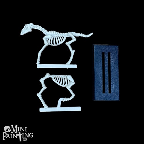 Skeleton horse warhammer - skeleton,