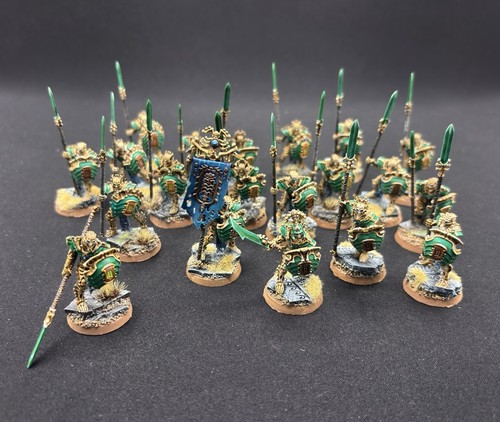 Pro painted warhammer aos - pro,